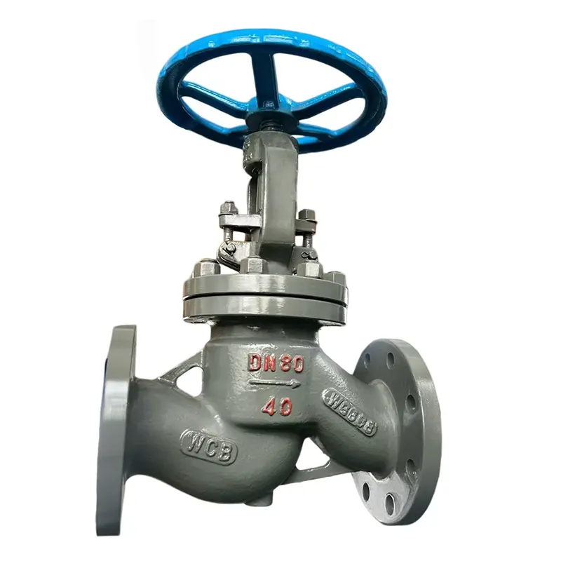 Waowa Steel National Paerewa Globe Valve