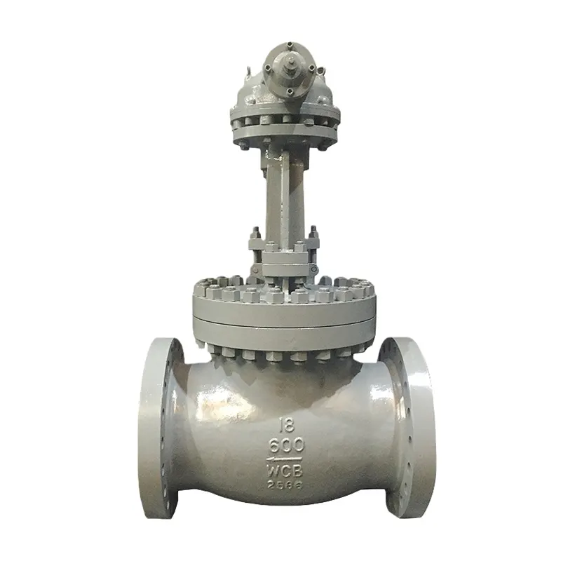 Te Waipara Atete Globe Valve
