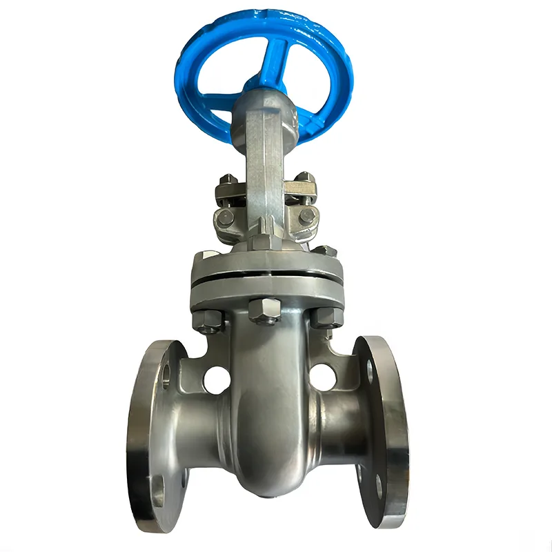 Kowiri tira API Flanged Gate Valve